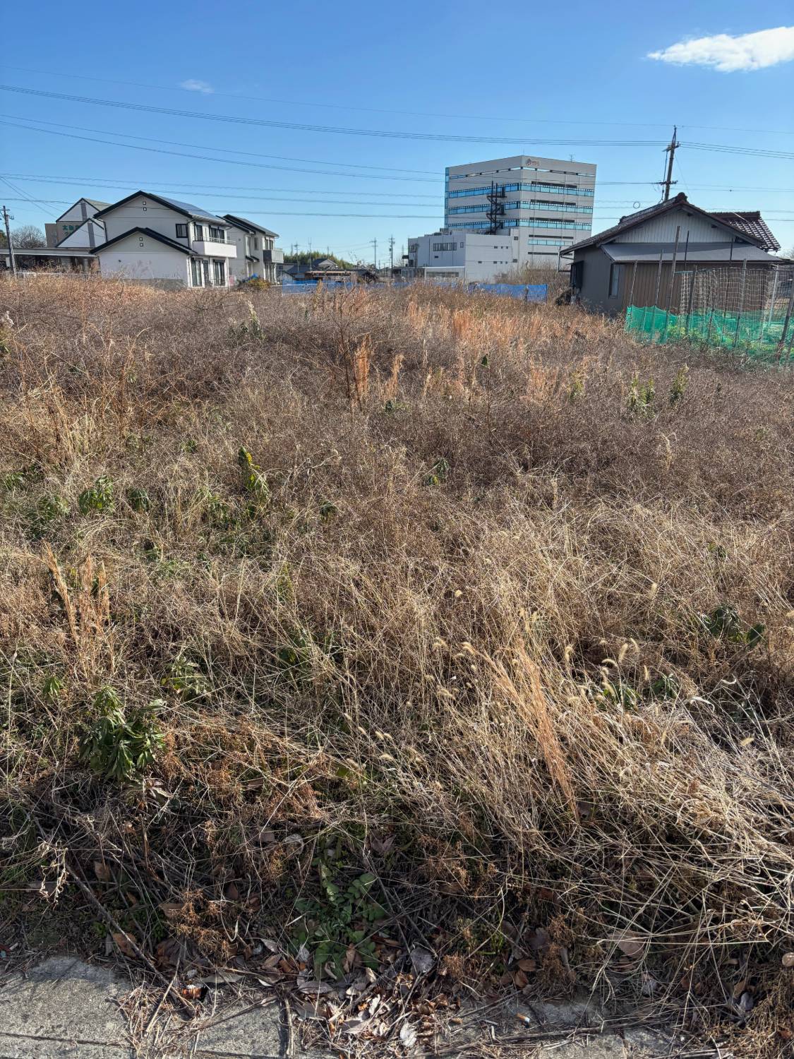 着手前の耕作放棄地