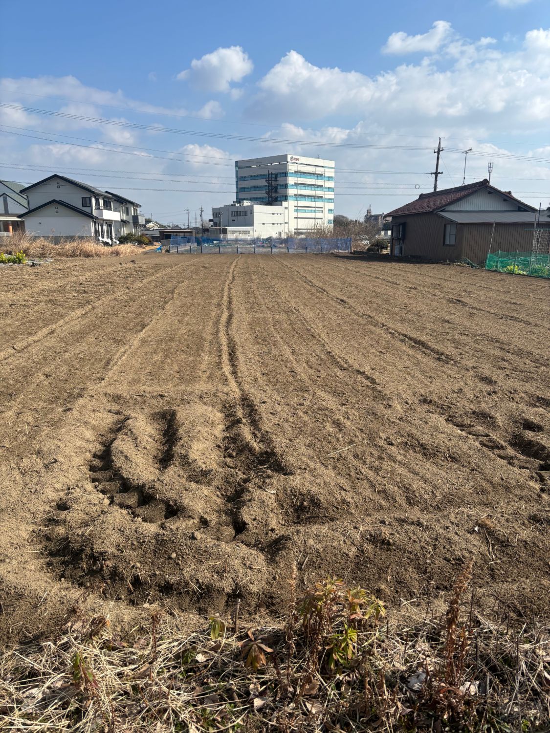 耕した畑